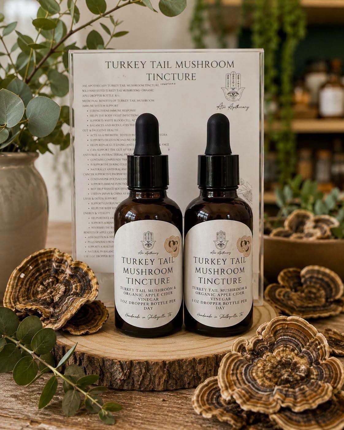 Asè Apothecary Turkey Tail Mushroom Tincture | Immune & Gut Support 1 oz glass bottle